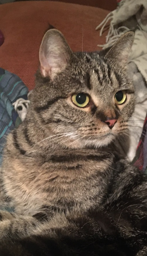Búdda. 