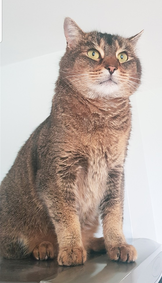 Hròi.