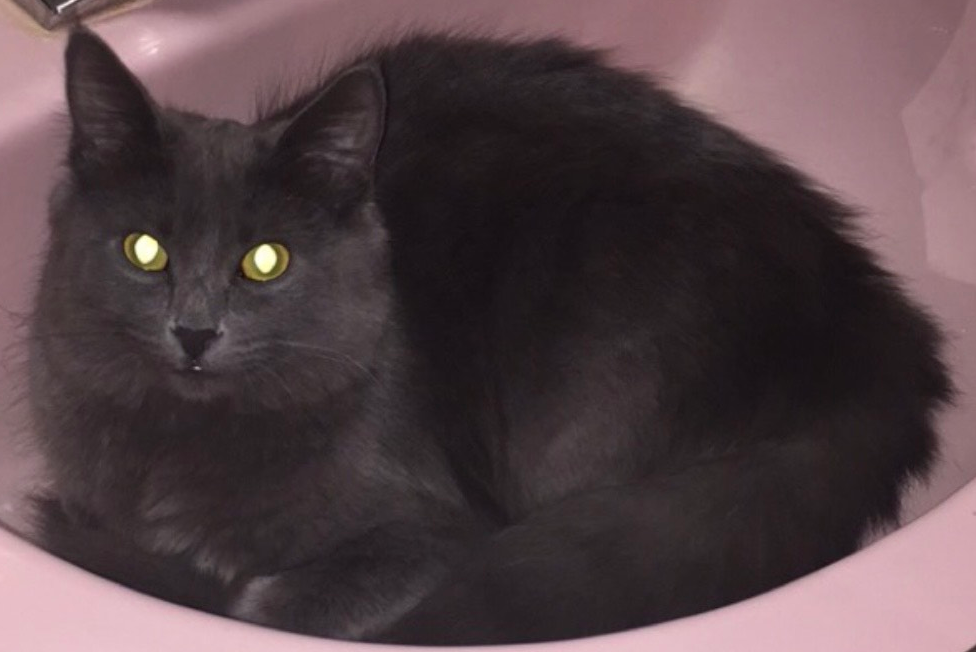 Fluffý.