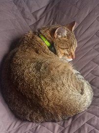 Mía. 