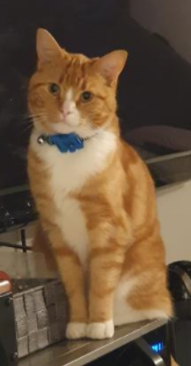 Óliver. 
