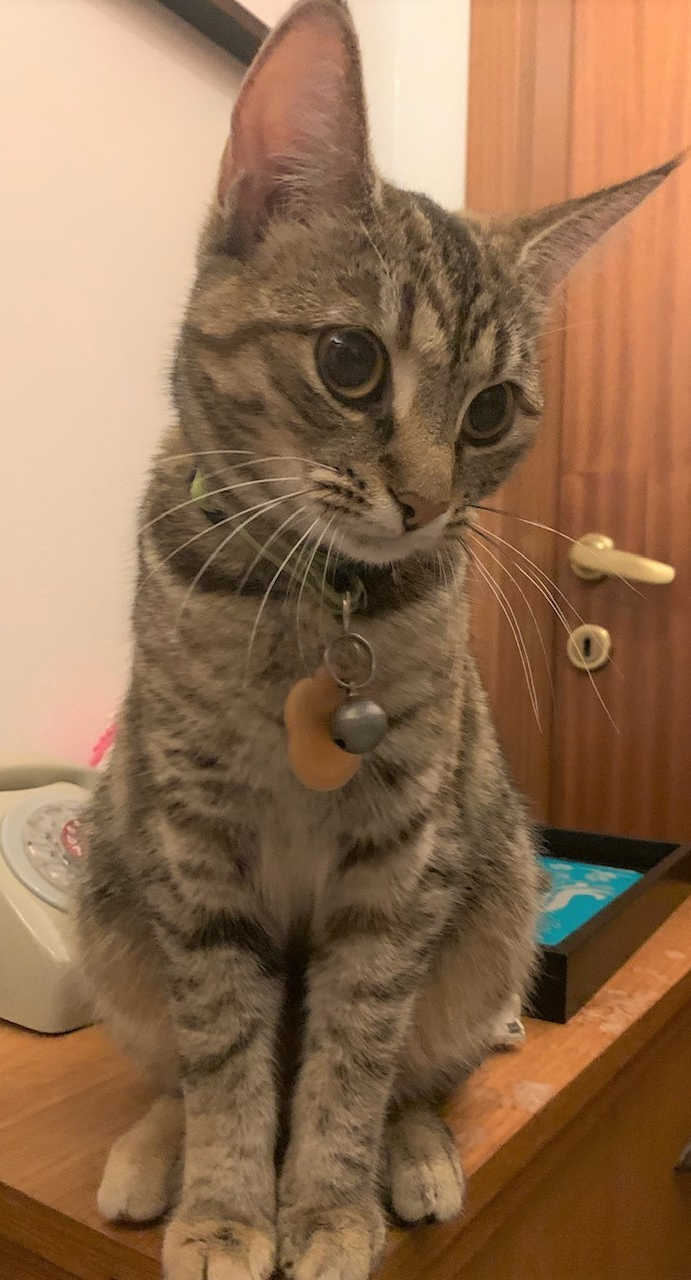 Lóla.