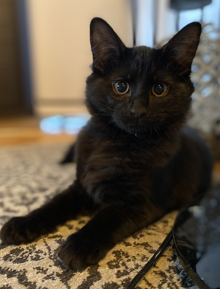 Atlas.