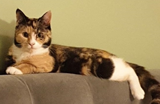 Freyja.