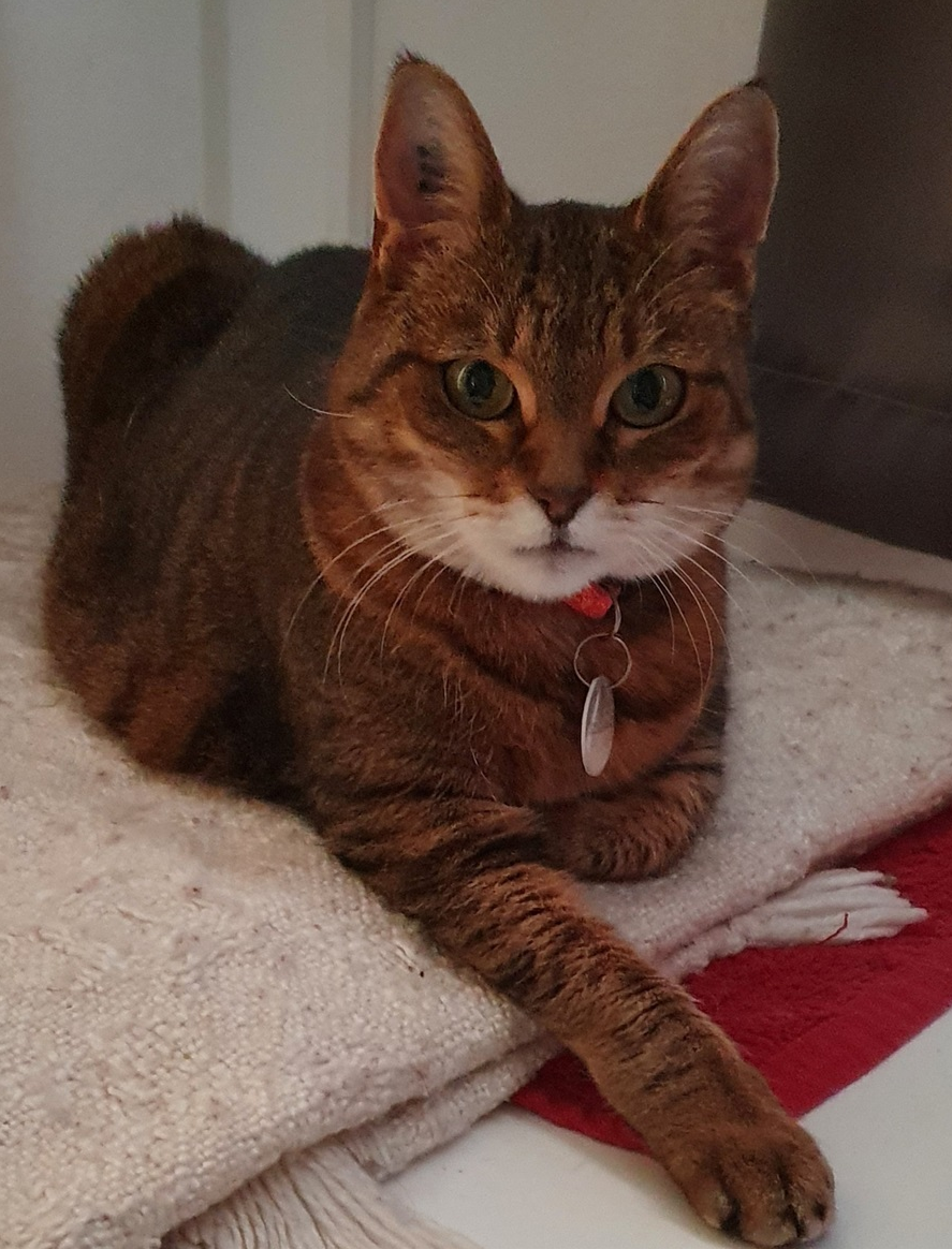 Emma.