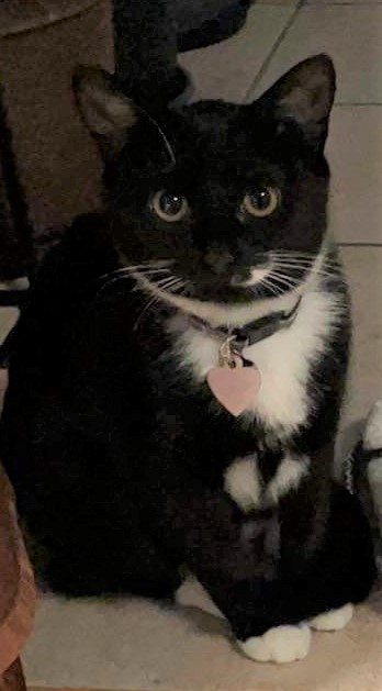 Kuro. 