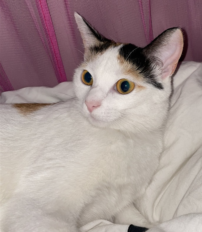 Nala Bríet. 