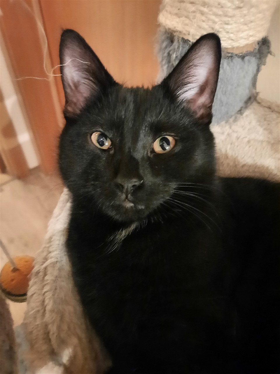 Tara. 