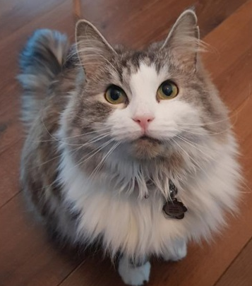 Coco.