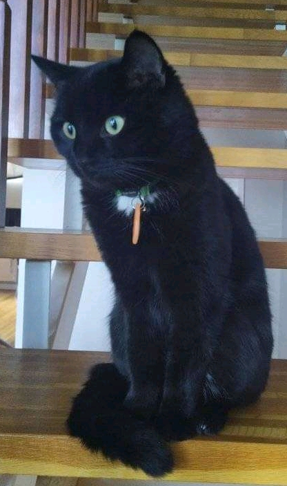 Eros.
