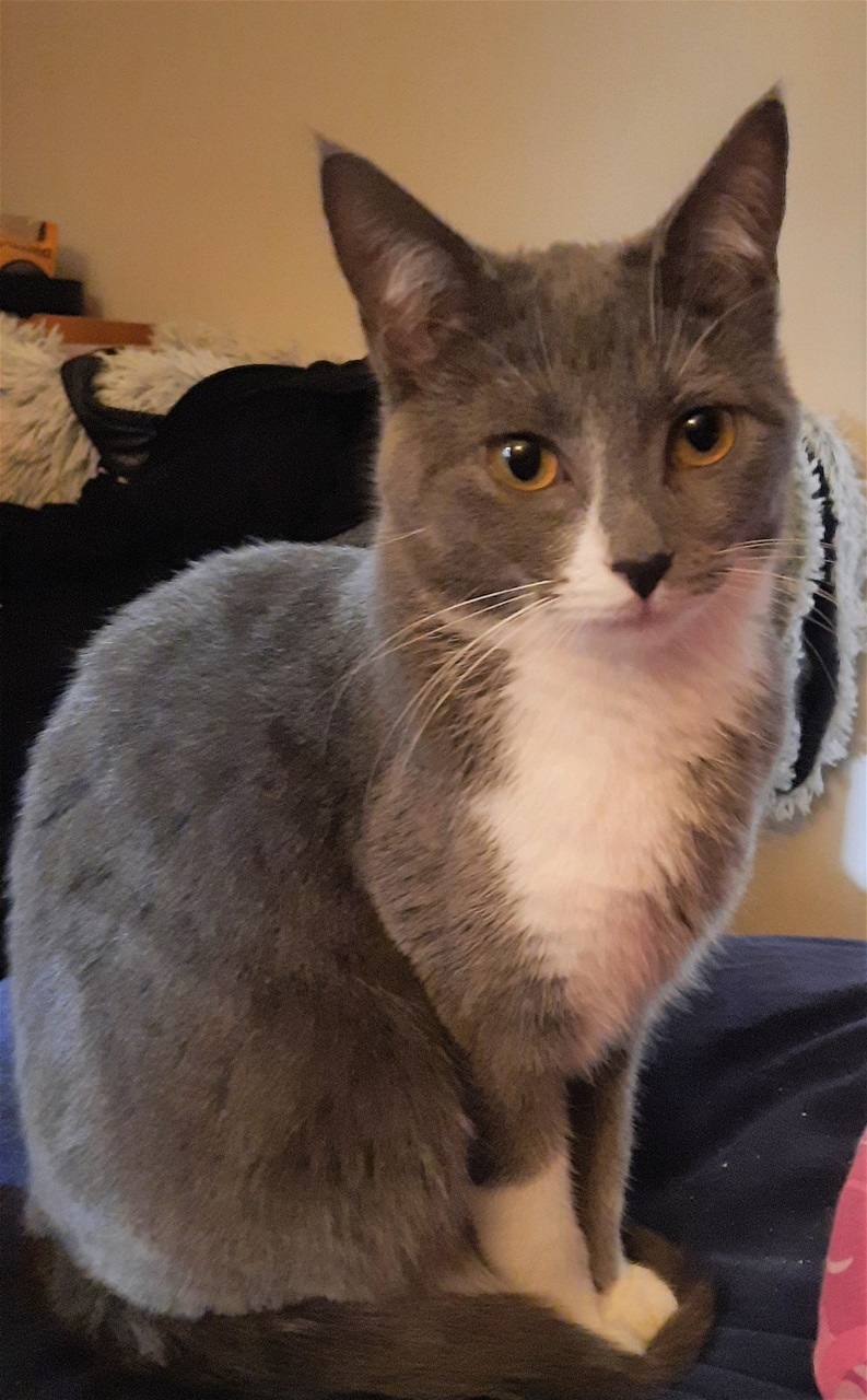 Luna. 