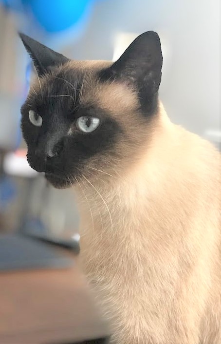 Herbert.
