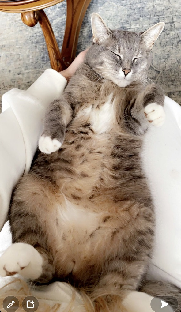 Krema. 