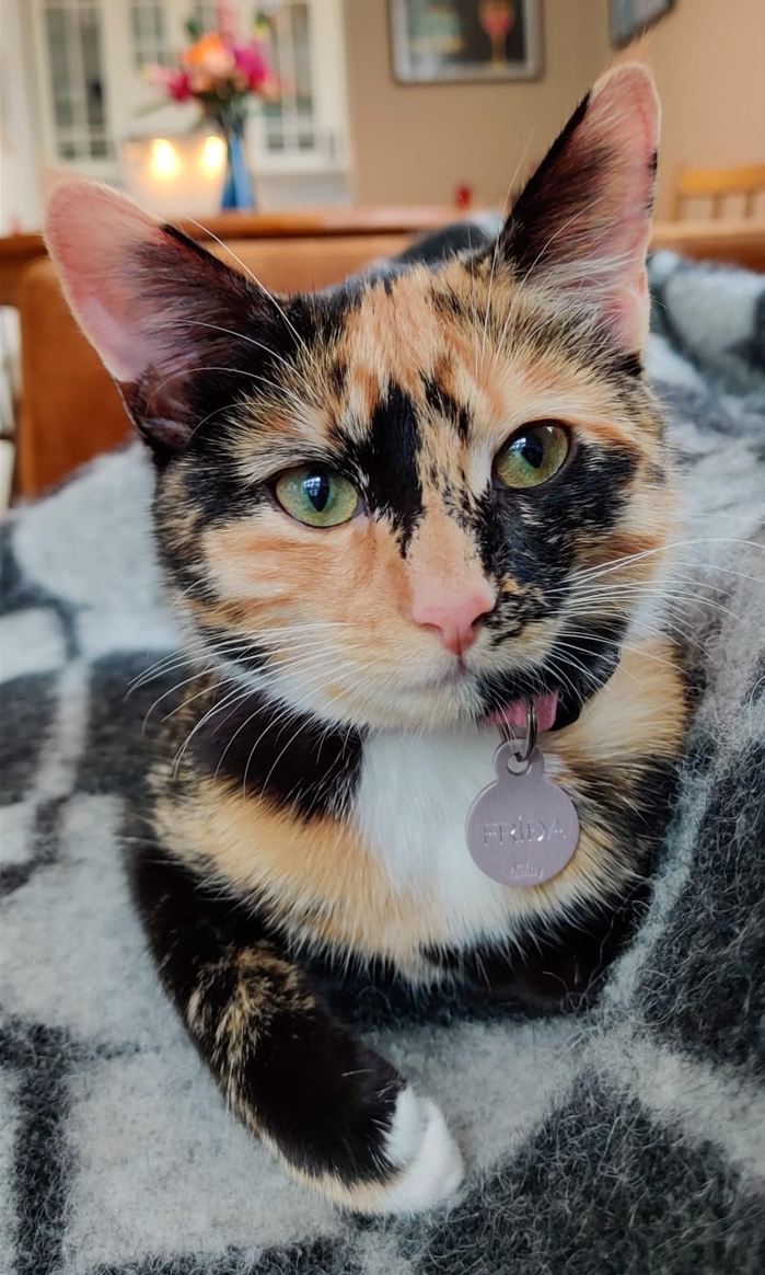 Fríða.
