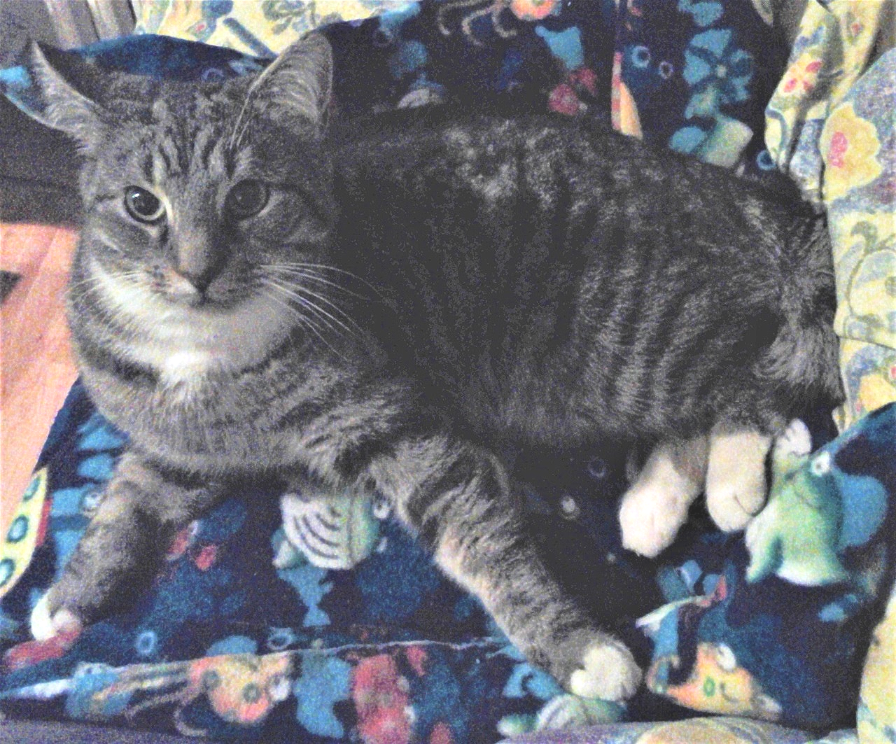 Óli. 