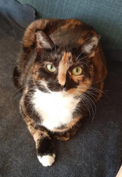 Klara. 