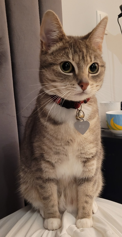 Gigi. 
