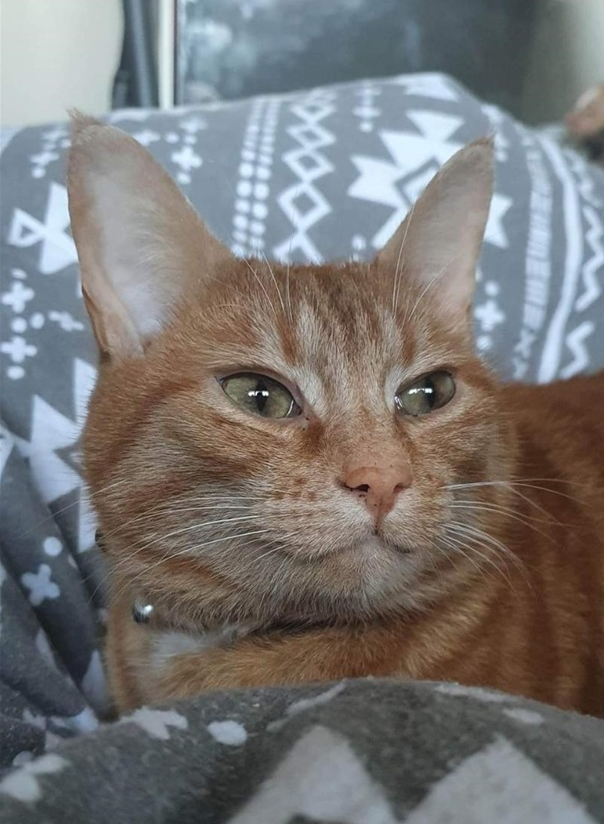 Tumi.