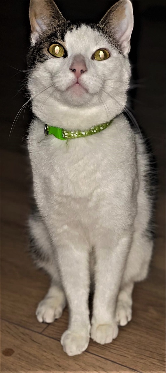 Morty.