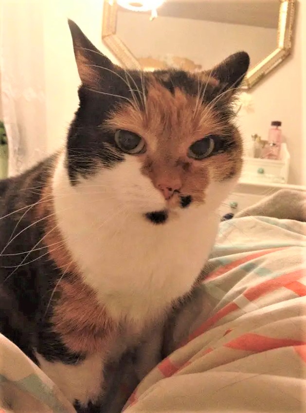 Rúsína.