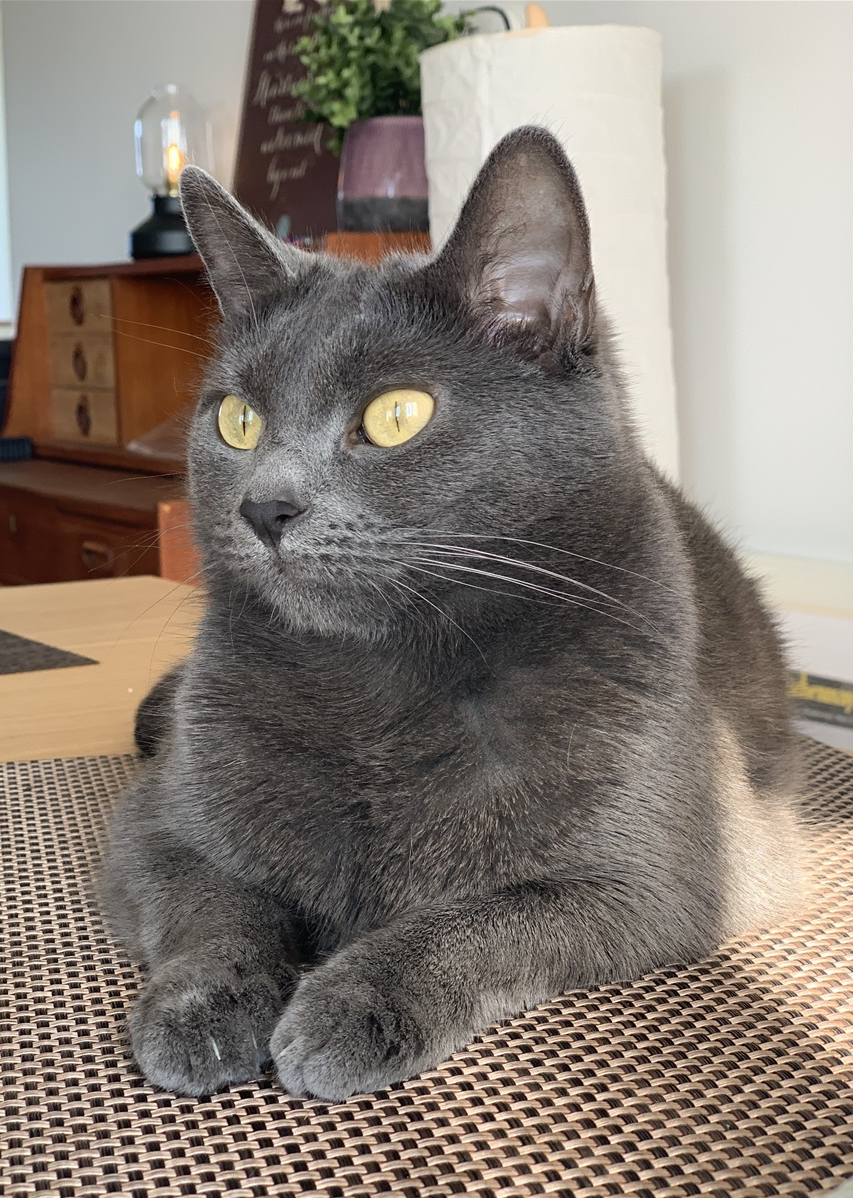 Stella. 