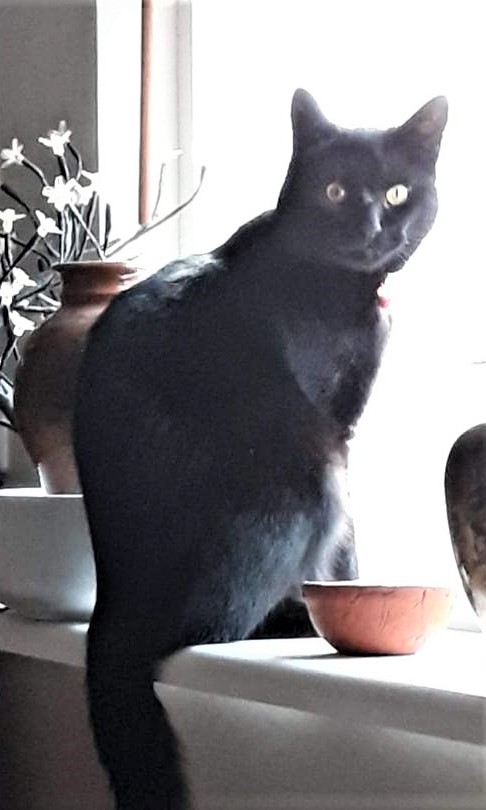 Balti. 