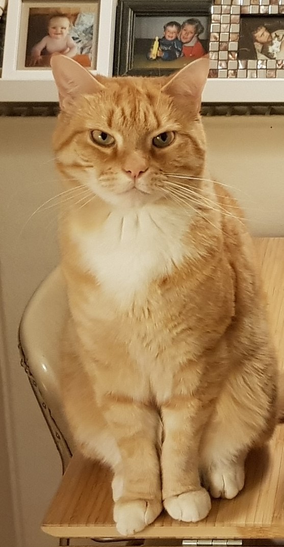 Tumi.