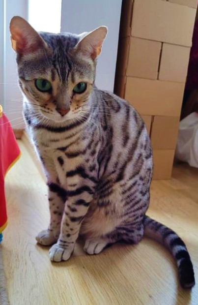 Ronja.