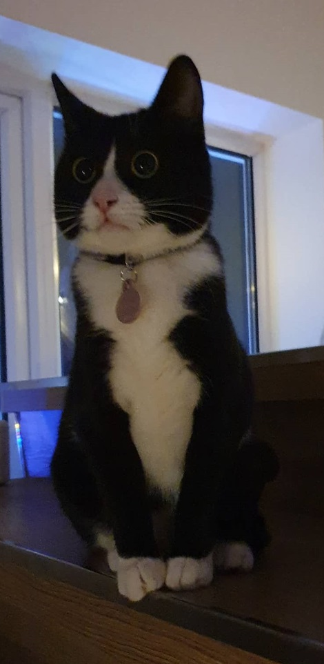 Alexandra (Lexa).