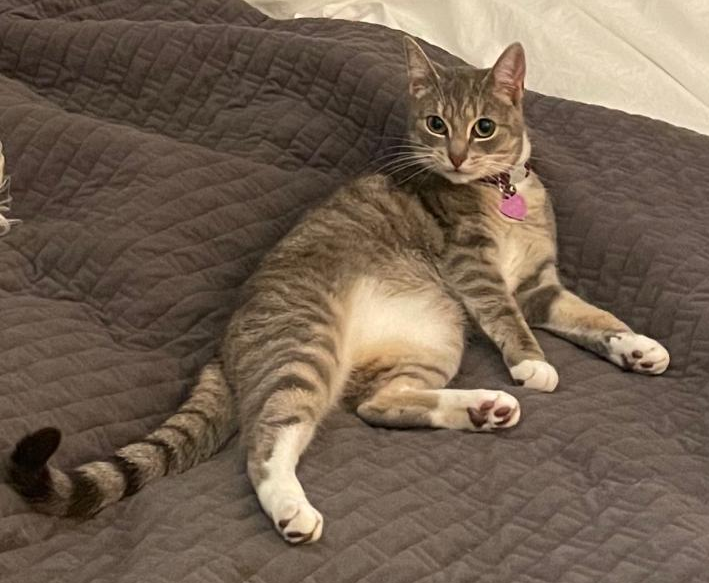Gigi. 
